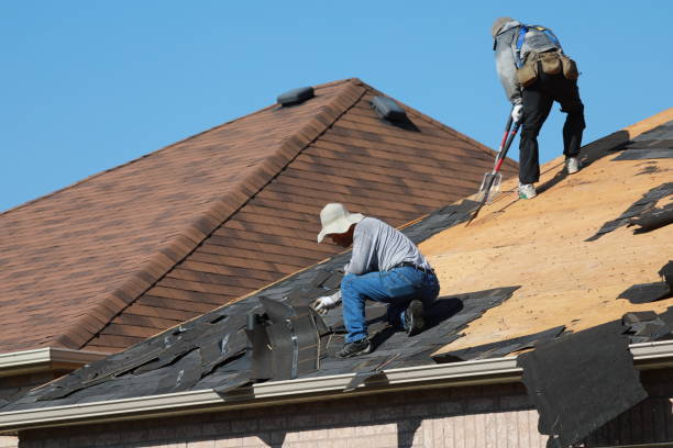 Best Skylight Installation and Repair  in Douglas, GA