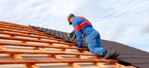 Best Roof Ventilation Installation  in Douglas, GA