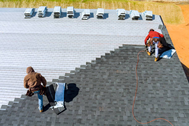 Best Roof Insulation Installation  in Douglas, GA